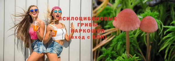 МДПВ Алзамай